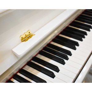پیانو دیجیتال ام آر اس مدل jdp-300